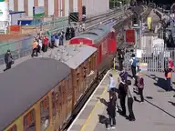 49442