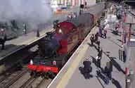 49443