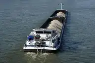 49461