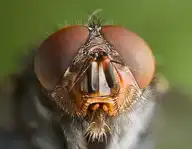 4990