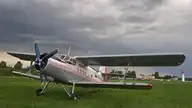 49912
