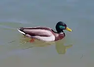 50037
