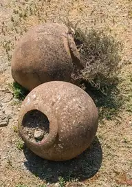 50237