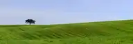5023