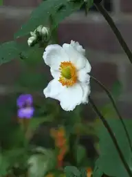 50522