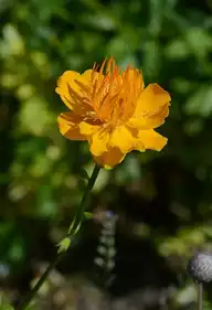 50542