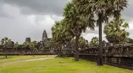 50769