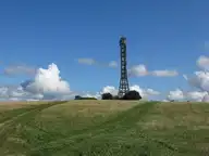 51461