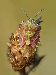5170