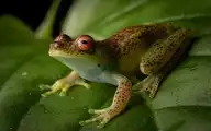 52073