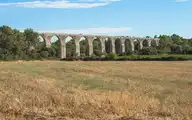 52277