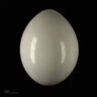 52362