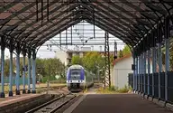 52561