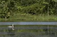 52953