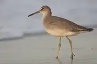 5345