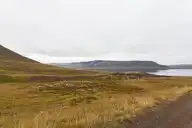 53523