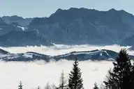 53664