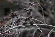 53795