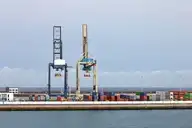 53833