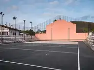 54203