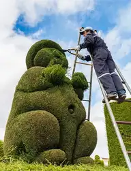 5421