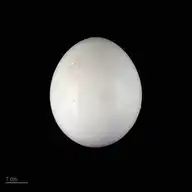 54370