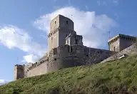 54554