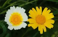 54642