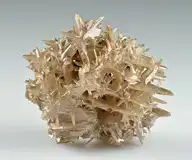 5464