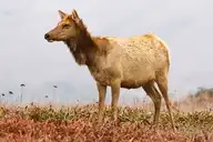 5465
