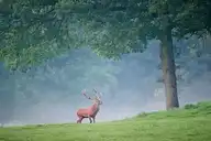 5467