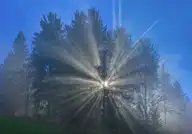 5485