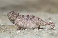5505