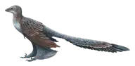 5515