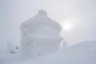 5520