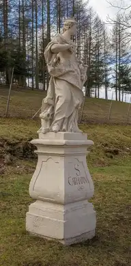 55437