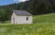 55453