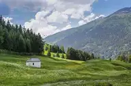 55466