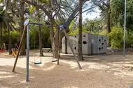 55545