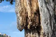 55674