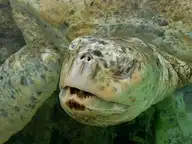 5577