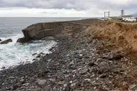 55818