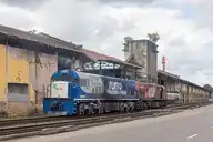 55890