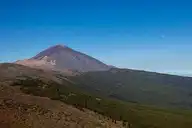55935