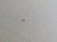 55952