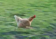 5620
