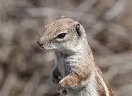 56320