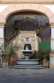 56335