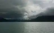 56391
