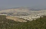 56464